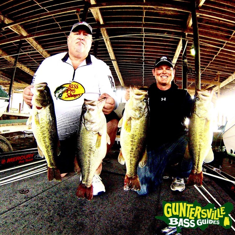 Erleben Sie den Großen Bass Splash in unserem Online Casino in Deutschland