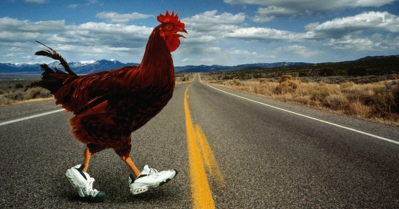 Spain - chicken road oficial