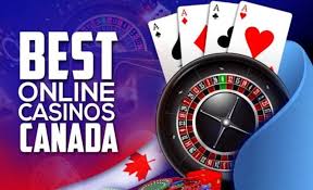 Discover the Best Gambling Sites for Every Player Discover the Best Gambling Sites for Every Player